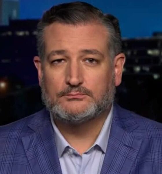 Senator Ted Cruz speaking on The Ingraham Angle, discussing Kamala Harris's policies and his Senate race.