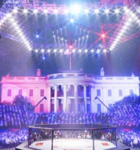 america250 UFC fight at white house ingraham angle mcgregor chandler